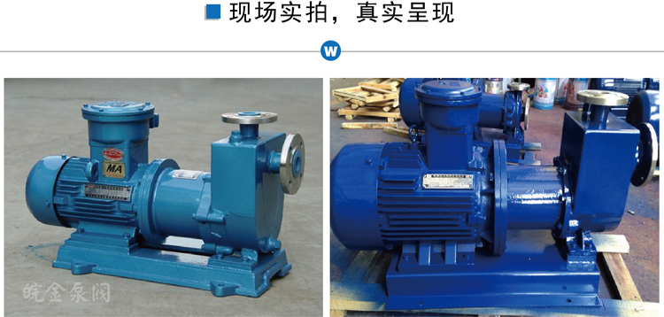 實景圖750.jpg 不銹鋼磁力自吸泵